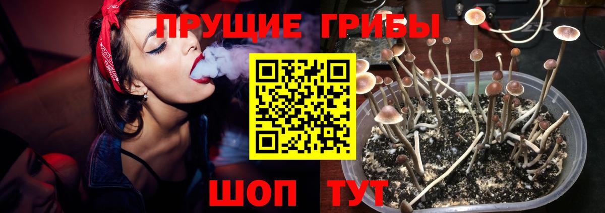 Галлюциногенные грибы ЛСД  Вход с VPN  Сарапул 